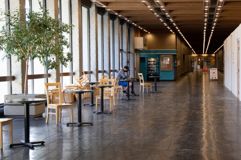 A lone person sits at a table in a long hallway of empty tables and chairs inside a post-secondary building on campus