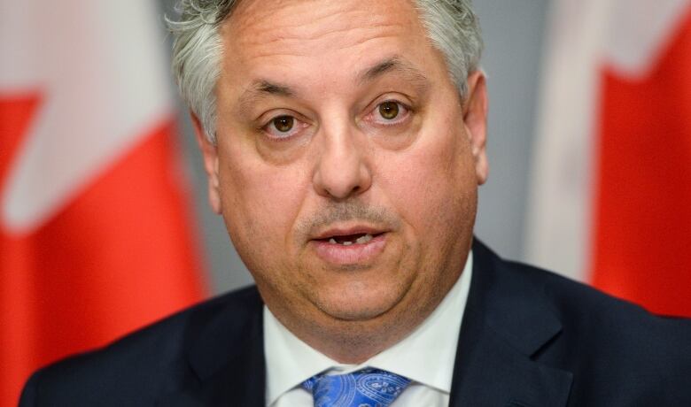 A man in a suit sitting in front of a Canadian flag.