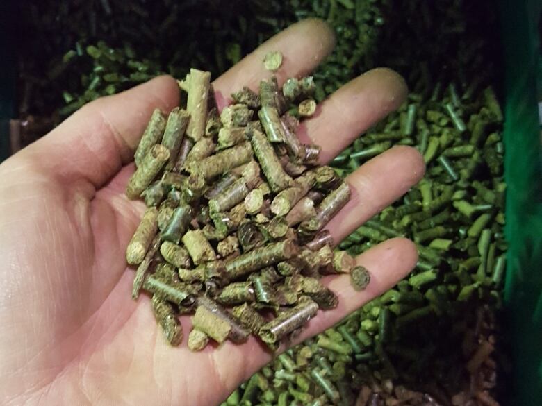 A hand holding compressed pellets made of cardboard.