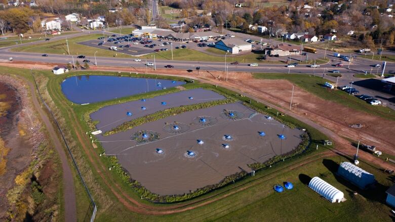 The Stratford sewage lagoons with blue floating objects 