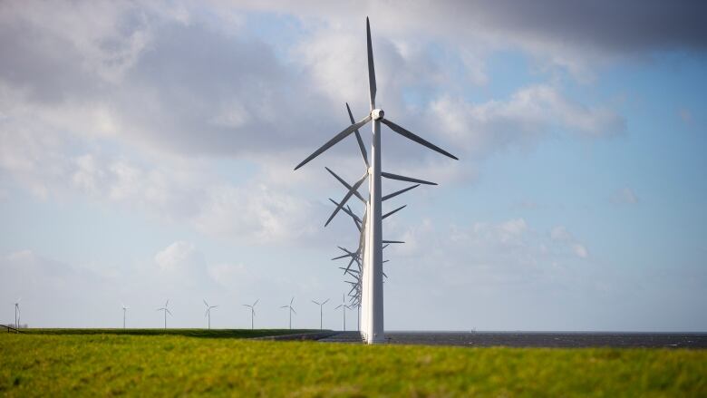 wind turbines are pictured in a vast green expanse and a big blue sky