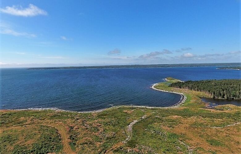 A piece of coastal land is shown on a sunny day.