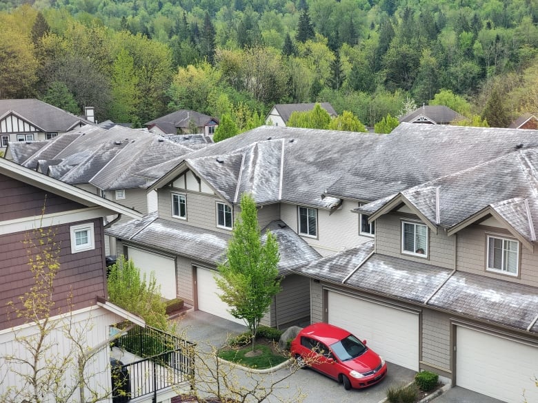 Houses near a forest environment are pictured with white powder on the roofs.