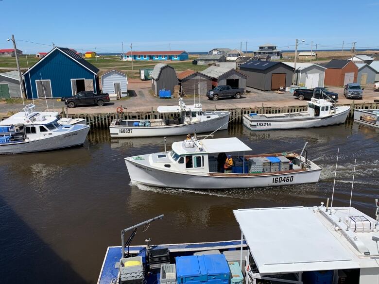 A lobster boat sails into North Lake harbour past other fishing boats.