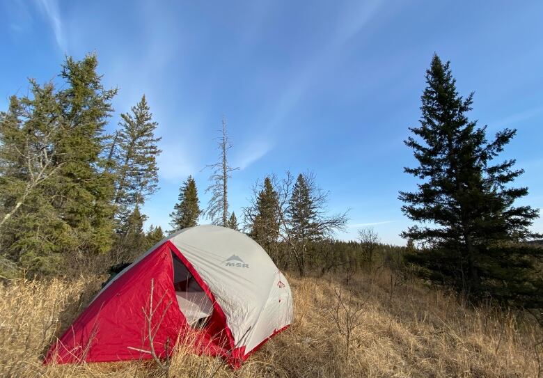 A red and grey tent set up on a patch of grass near trees.