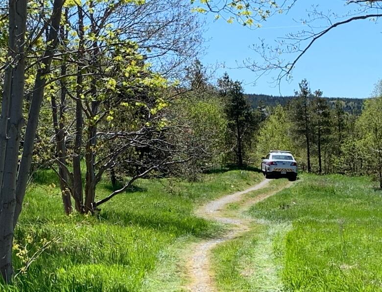 A trail through wooded air with a police car on it