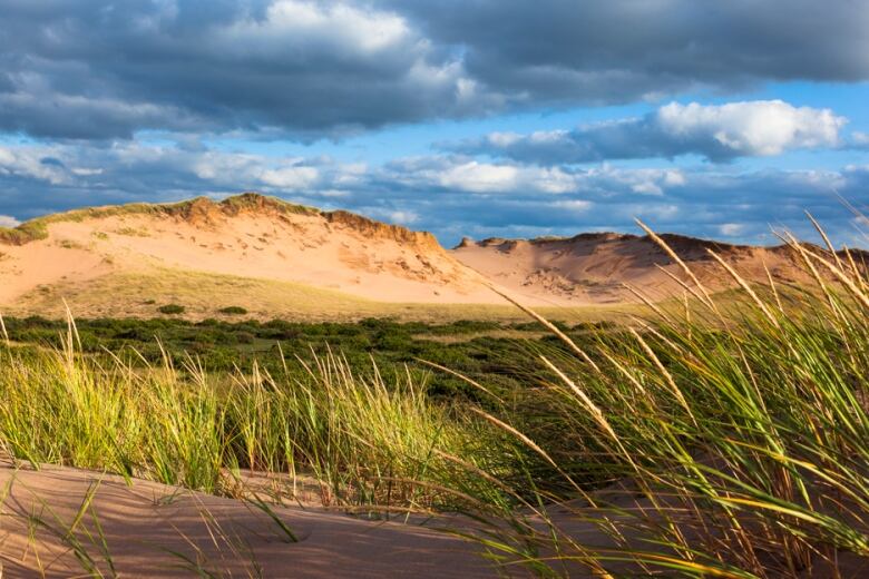 The ecologically sensitive dunes at Greenwich offer some of the most breathtaking views on the Island. 