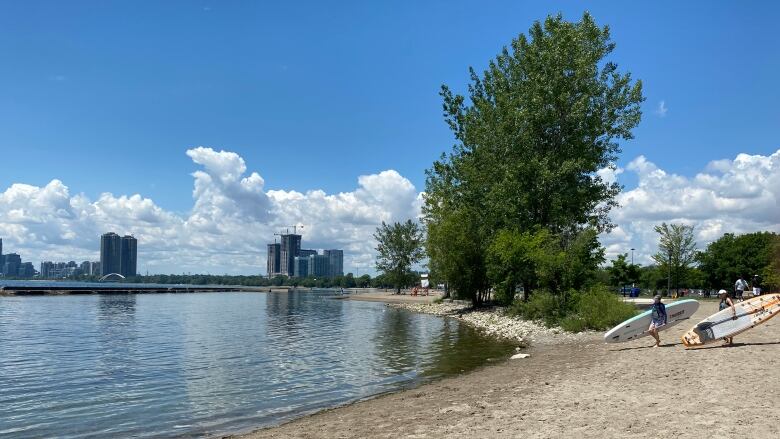 Photograph showing a sandy Toronto beach