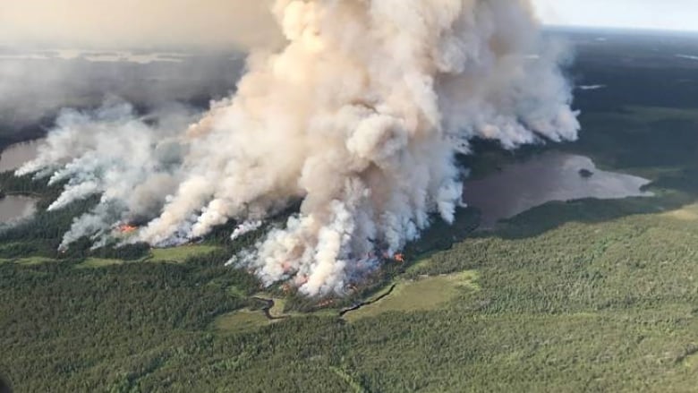 Smoke from a forest fire.