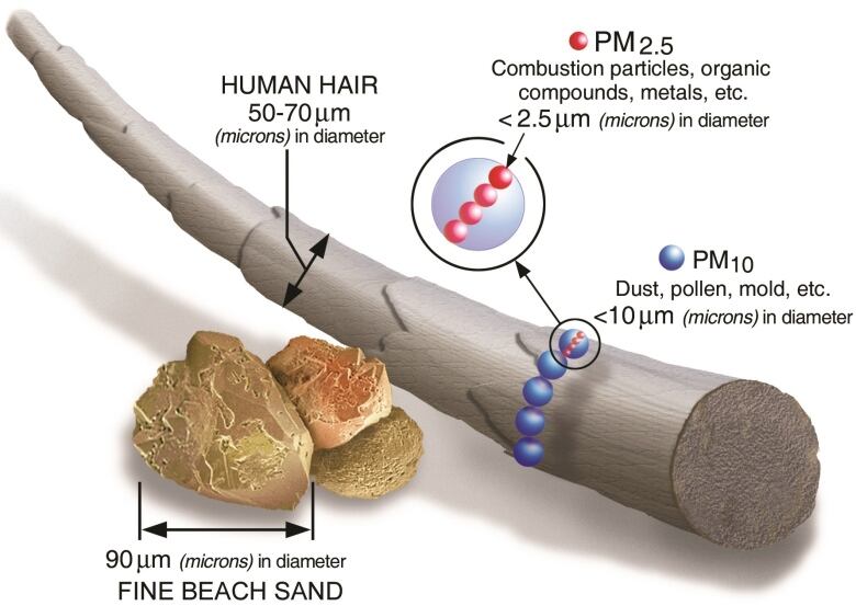 This illustration shows the approximate size of various particles.