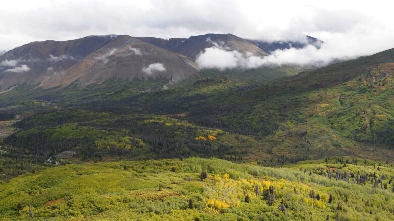 A forested mountainscape.