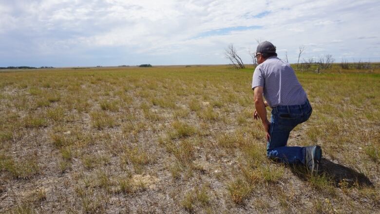 A man kneeling in a hayfield