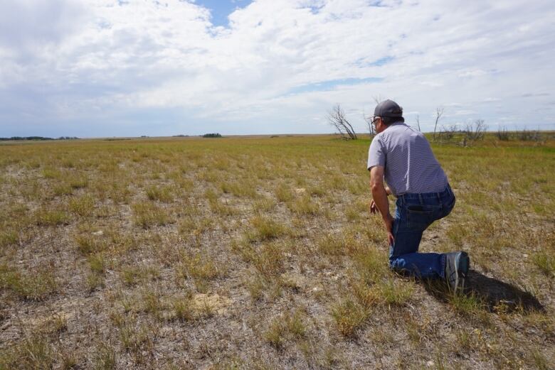 A man kneeling in a hayfield