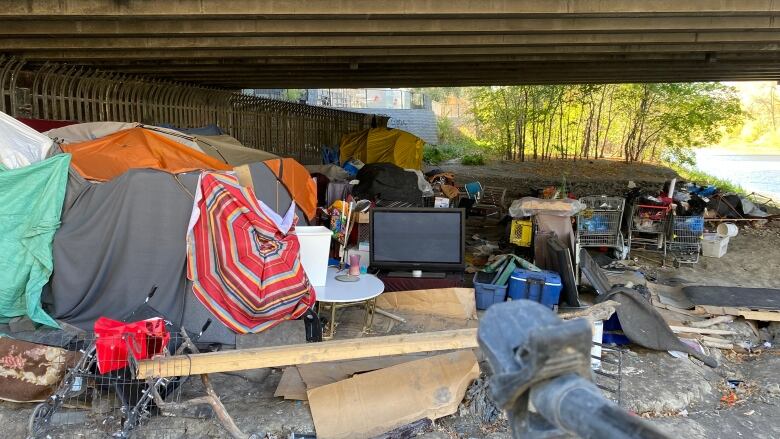 A homeless encampment below a bridge.