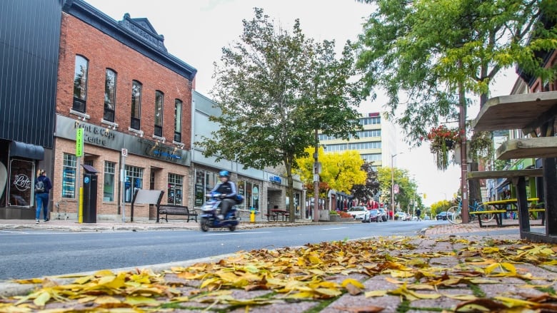 Someone rides a moped on a city street in autumn.