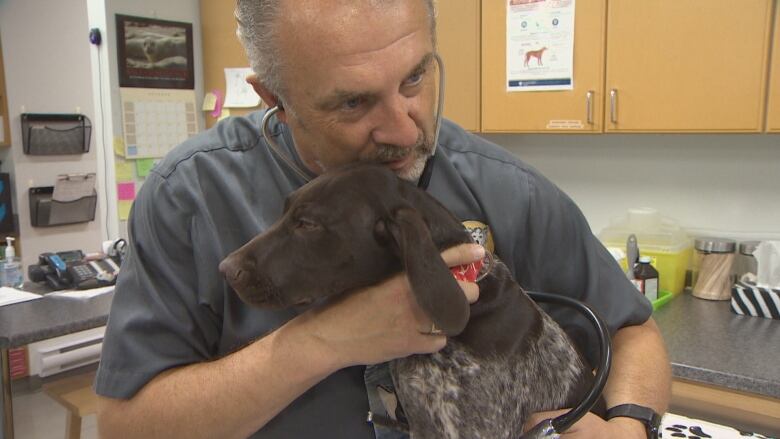 Dr. Jeff Goodall with healthy 15-week-old German short-haired pointer Ben.