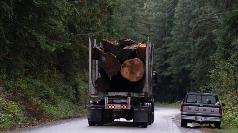 A number of logs in the back of a truck.