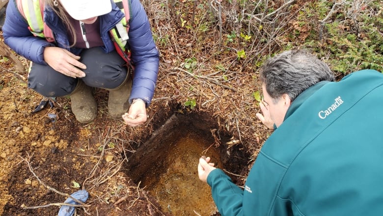 The latest dig was at Kejimkujik National Park Seaside in Port Joli, N.S., on Tuesday. Crews with Boreas Heritage Consulting have been doing the work.