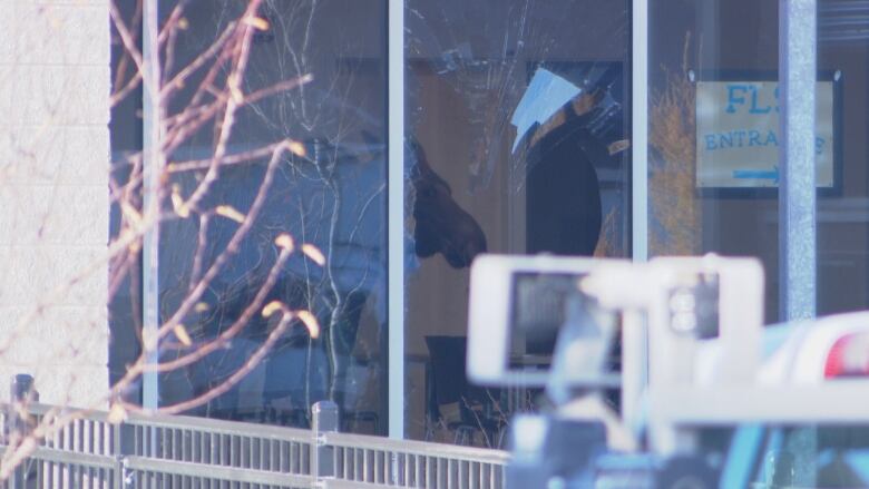 A moose seen through a broken window from a distance.