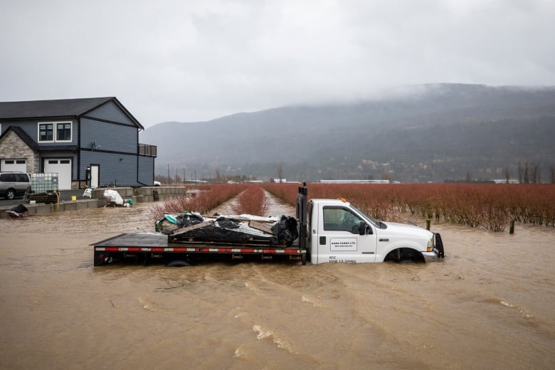 Flood waters cover the tires of a pickup truck.