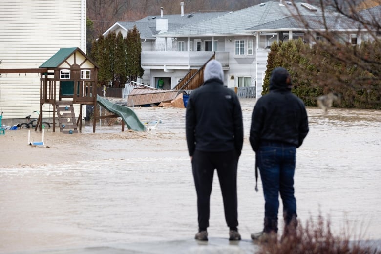 Two people are pictured from the back, standing and watching as a flooded city street. Across from them is a playground treehouse; in its background, a house. 