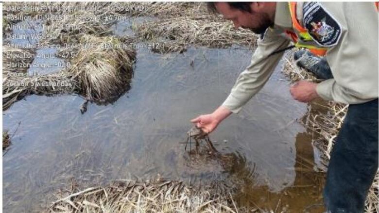 A B.C. environmental inspector in a uniform and dirty boots standing on shore pulls sediment from a muddy pool of water downstream from a Coastal GasLink pipeline crossing in this 2021 photo.