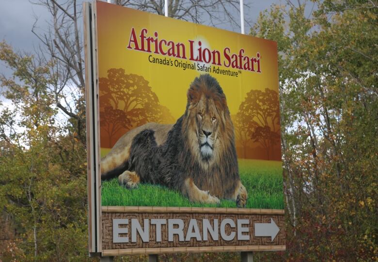 African Lion Safari confirmed it permanently stopped offering elephant rides in 2019.