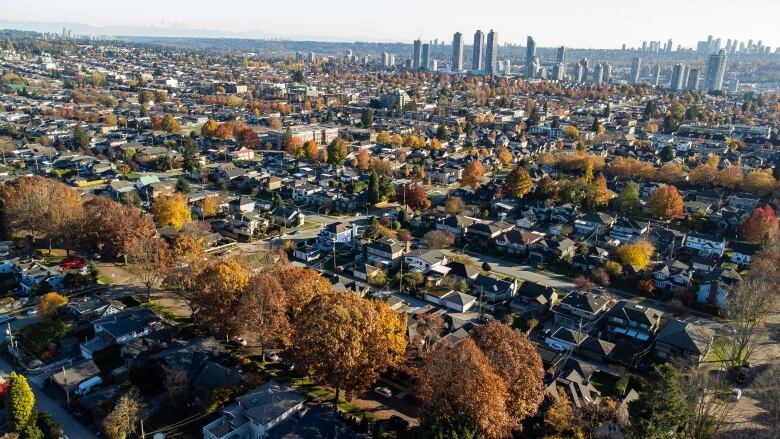 Rows and rows of single-family homes are pictured in fall, next to large skyscrapers.