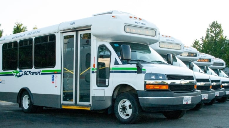 A row of small white buses, with 