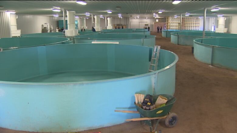 Ten large fish farming tanks sit dry in a building.