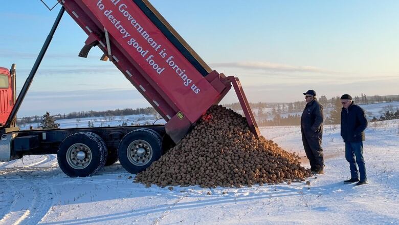 Two men watch as potatoes are dumped out of a truck onto a snow covered field. 