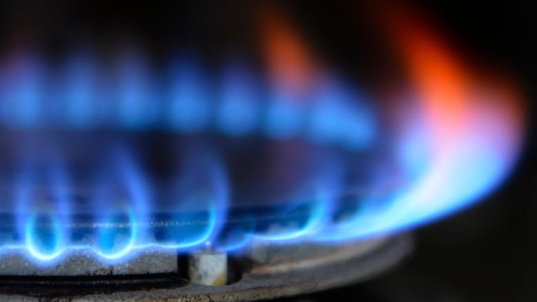 A gas cooker is seen in Boroughbridge, northern England in this November 13, 2012 file photograph. Centrica posted a 9 percent rise in profit at its British Gas business, the country's biggest household energy supplier announced on February 27, 2013, putting pressure on it to justify an inflation-beating rise in prices in the midst of a recession. 