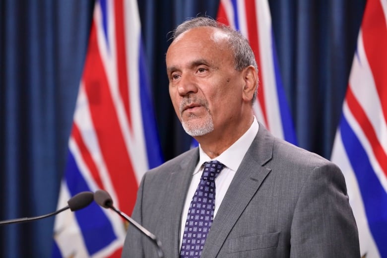 A man in a grey suit and blue tie stands in front of a microphone speaking. Behind him are blue curtains and three flags with red, white and blue. 