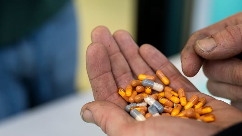 A hand is holding dozens of animal tranquilizer pills called Xylazine at a drug test site in Vancouver, B.C.