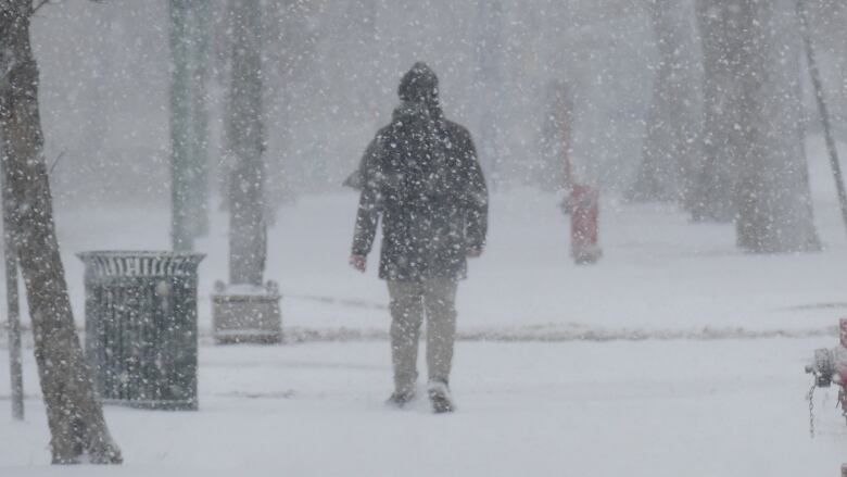 A person in a puffy jacket walks down the street away from the camera as snow blows around them.