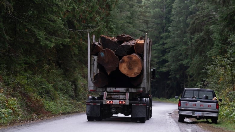 A logging truck passes a pickup truck