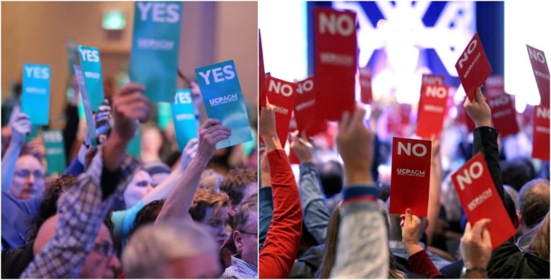 a series of Yes and No signs