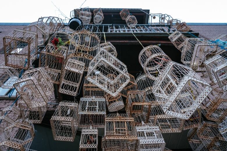 The front of Dragon Flowers' shop with a network of hanging bird cages