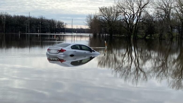 The top and back of a car can be seen above water that surrounds the vehicle on all sides. Some trees can be seen in the distance.