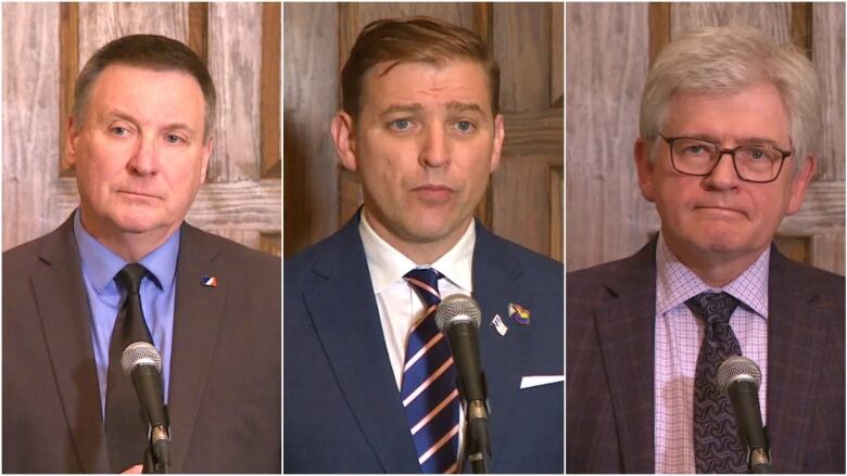 A split screen image showing Interim PC Leader David Brazil, Premier Andrew Furey and NDP Leader Jim Dinn.