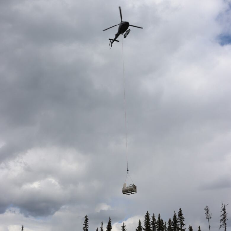 A helicopter carries two grizzly bears from a northern B.C. animal sanctuary to a remote forest where they came from as orphaned cubs.