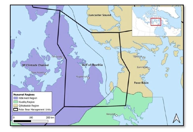 A map shows the location of the Gulf of Boothia polar bear subpopulation. 