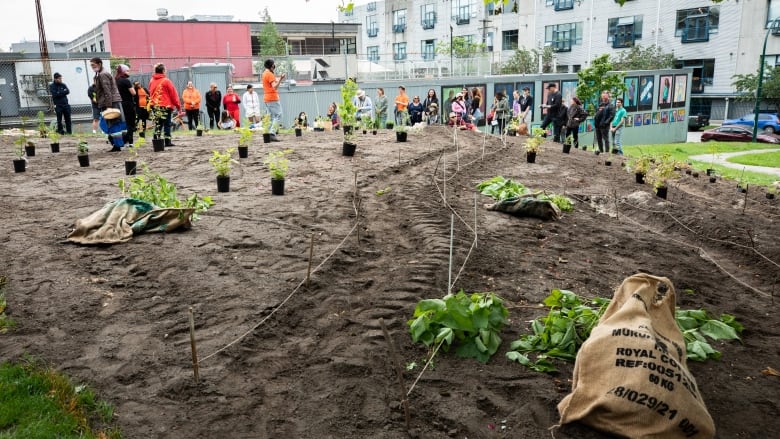 People gather at a garden in Vancouver, B.C.