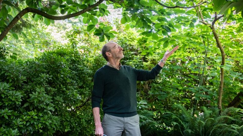 A man stands under a canopy of bushes touching one branch.