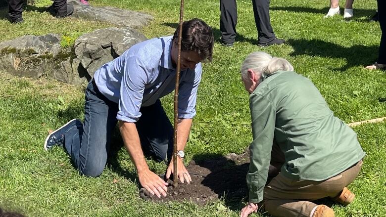 Two people crouch on the ground and plant a tree.