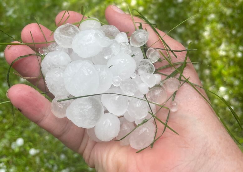 A person holds a handful of hail. Each stone is about the size of a marble.