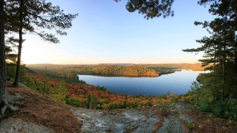 Landscape view of lake with autumn trees