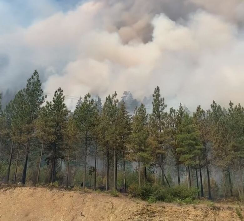 Smoke is seen rising from a burning forest from the out-of-control Nohonim Creek wildfire burns 1.7 km northwest of Lytton B.C.