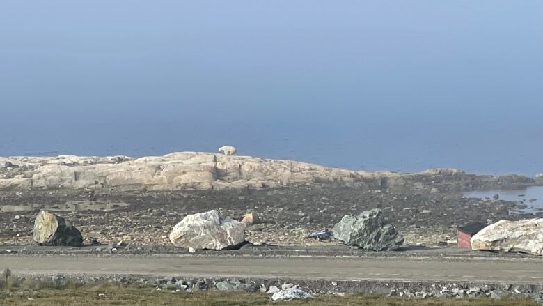 A polar bear stands on a distant hill.