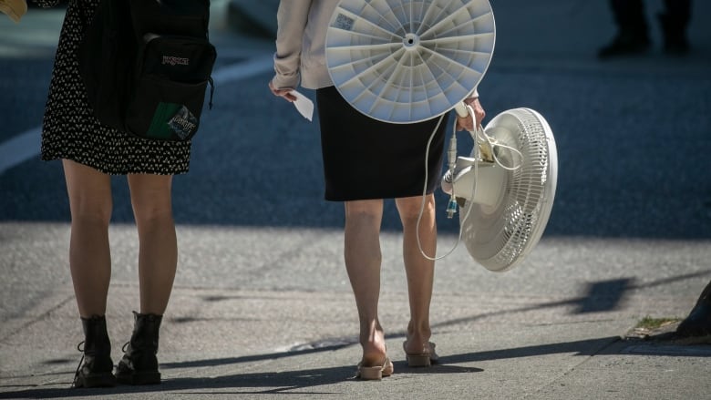 A person carries a fan